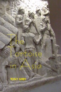 Tortoise in Asia front cover